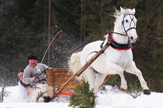 Kumoterki na sportowo